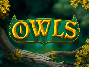 Owls game thumbnail