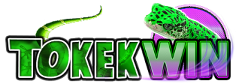 TOKEKWIN Logo